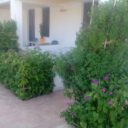 Villas Irene 5 Family Apartments Kokkini Hani Dış mekan fotoğraf