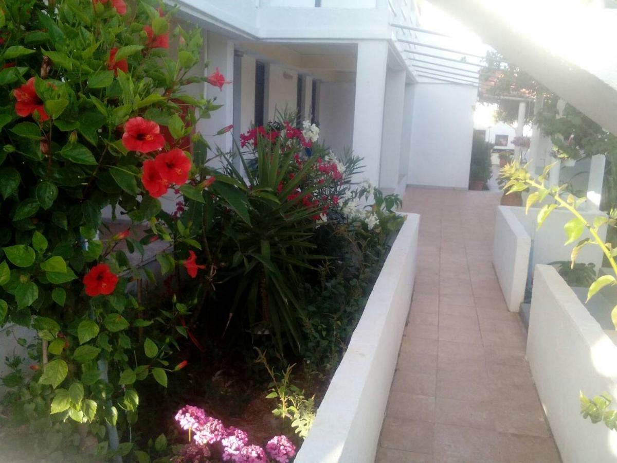 Villas Irene 5 Family Apartments Kokkini Hani Dış mekan fotoğraf